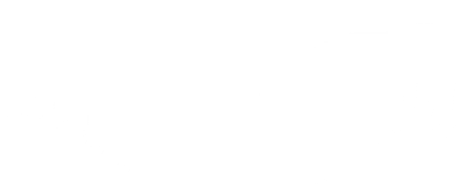 Abstract black-and-white image featuring a V-shaped valley with pixelated, jagged edges and a gradient transition from black at the top and bottom to white in the center, reminiscent of data captured by a high-speed optical tracking system.